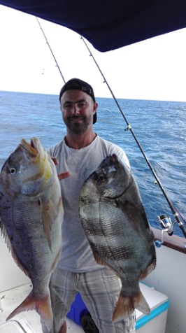 Big Bream and Snapper.jpg